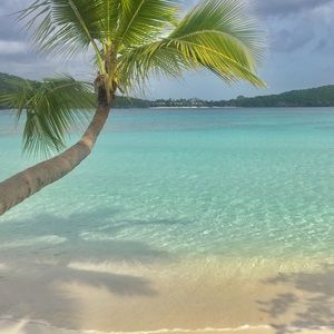 Meet your Posher, Summer